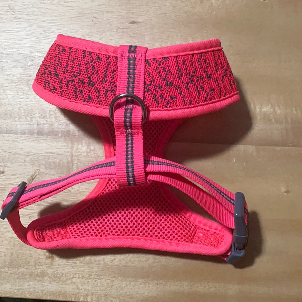 Small dog harness